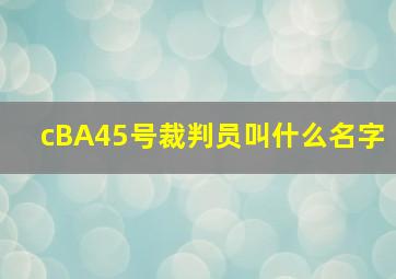 cBA45号裁判员叫什么名字