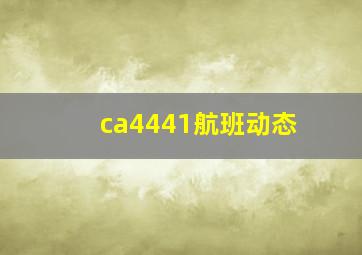 ca4441航班动态