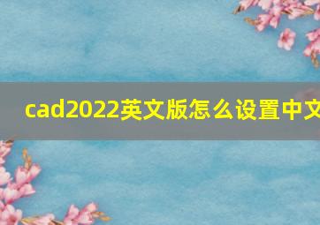 cad2022英文版怎么设置中文