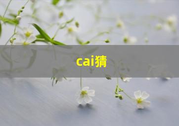 cai猜