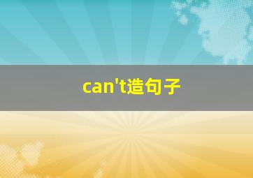 can't造句子