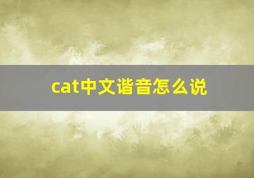 cat中文谐音怎么说