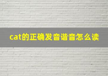 cat的正确发音谐音怎么读