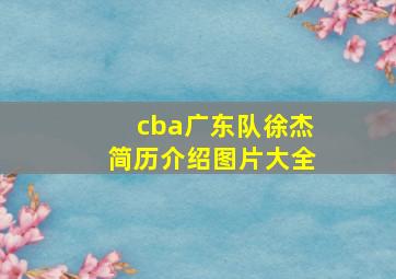 cba广东队徐杰简历介绍图片大全