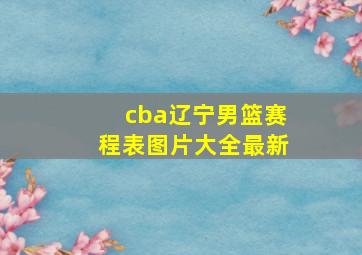 cba辽宁男篮赛程表图片大全最新