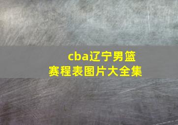 cba辽宁男篮赛程表图片大全集