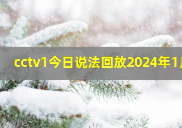 cctv1今日说法回放2024年1月