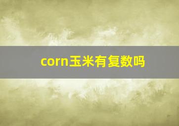 corn玉米有复数吗