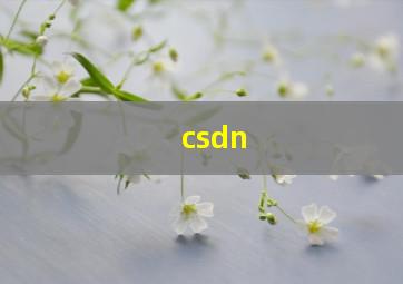 csdn