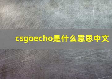 csgoecho是什么意思中文