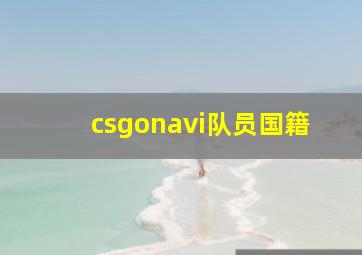 csgonavi队员国籍