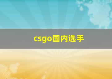 csgo国内选手