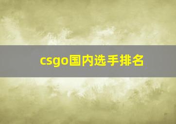 csgo国内选手排名