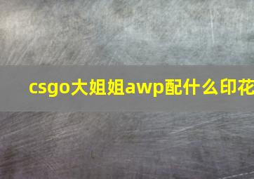 csgo大姐姐awp配什么印花