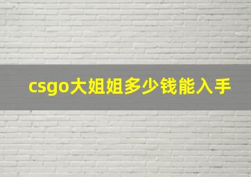 csgo大姐姐多少钱能入手