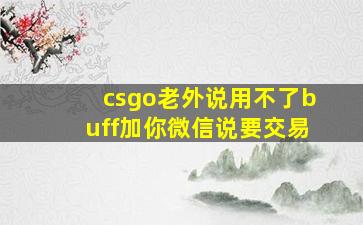 csgo老外说用不了buff加你微信说要交易