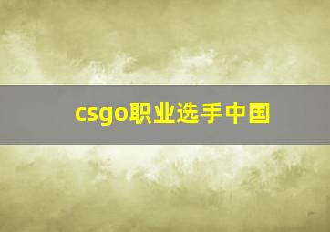 csgo职业选手中国