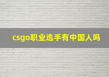 csgo职业选手有中国人吗