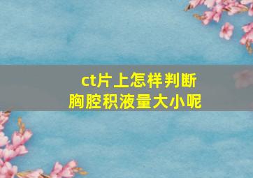 ct片上怎样判断胸腔积液量大小呢