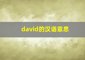 david的汉语意思