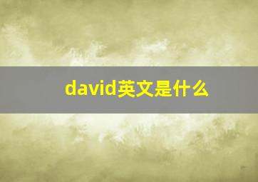 david英文是什么