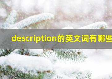 description的英文词有哪些