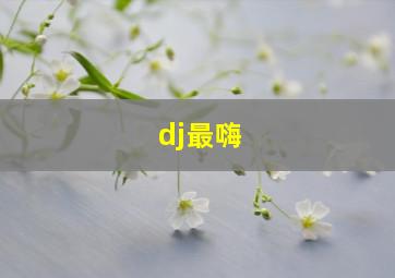 dj最嗨