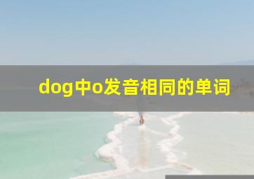 dog中o发音相同的单词