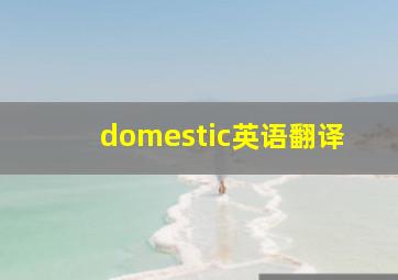 domestic英语翻译