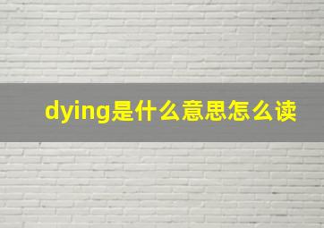 dying是什么意思怎么读