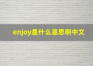 enjoy是什么意思啊中文