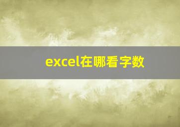 excel在哪看字数