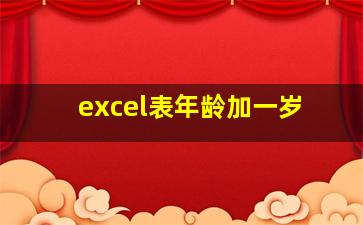 excel表年龄加一岁