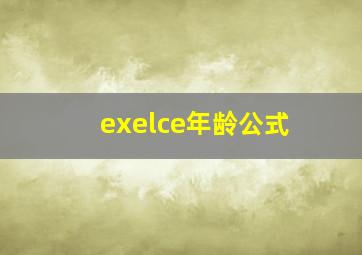 exelce年龄公式