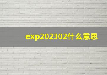 exp202302什么意思