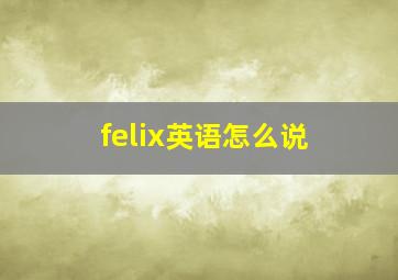 felix英语怎么说