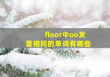 floor中oo发音相同的单词有哪些