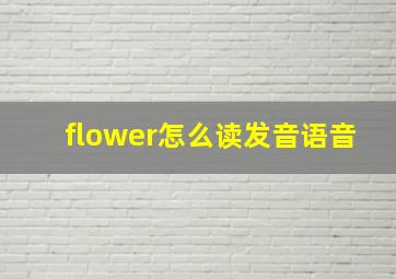 flower怎么读发音语音