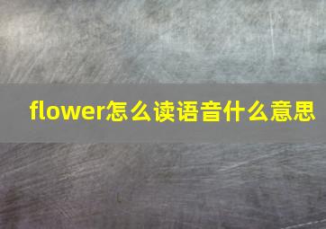 flower怎么读语音什么意思