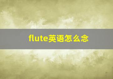 flute英语怎么念