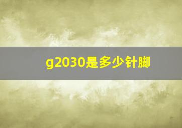 g2030是多少针脚