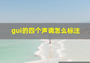 gui的四个声调怎么标注