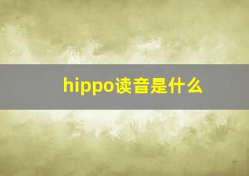 hippo读音是什么