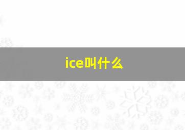 ice叫什么