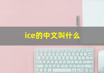 ice的中文叫什么