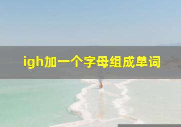 igh加一个字母组成单词