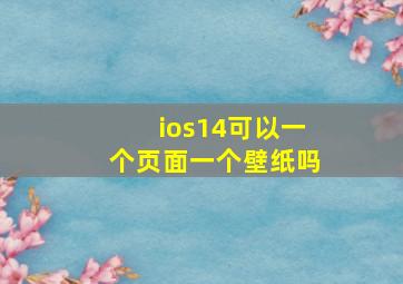 ios14可以一个页面一个壁纸吗