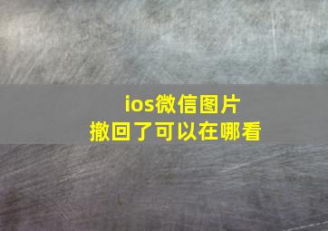 ios微信图片撤回了可以在哪看