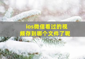 ios微信看过的视频存到哪个文件了呢