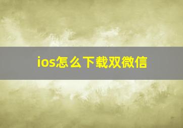 ios怎么下载双微信